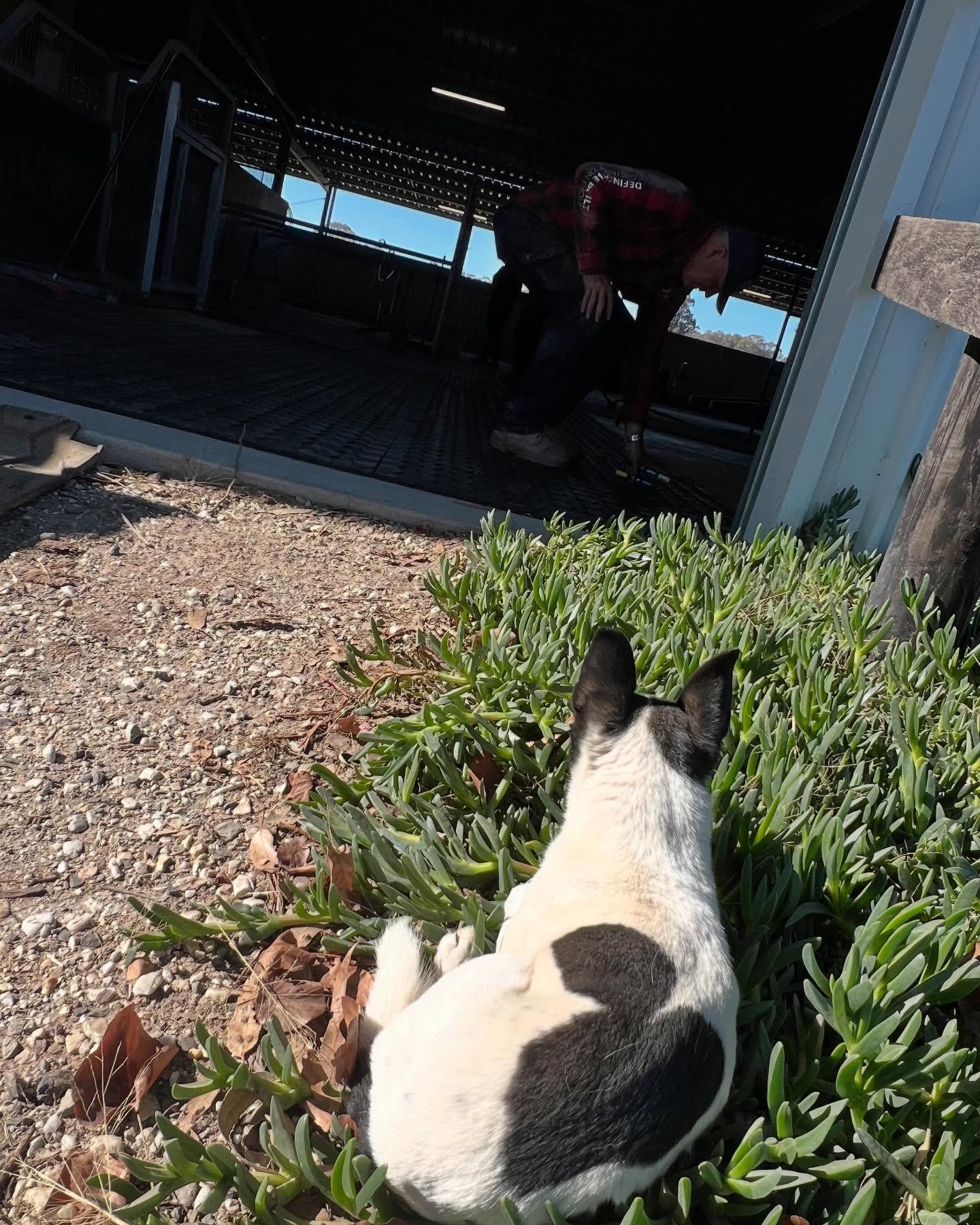 Maxy Supervising
