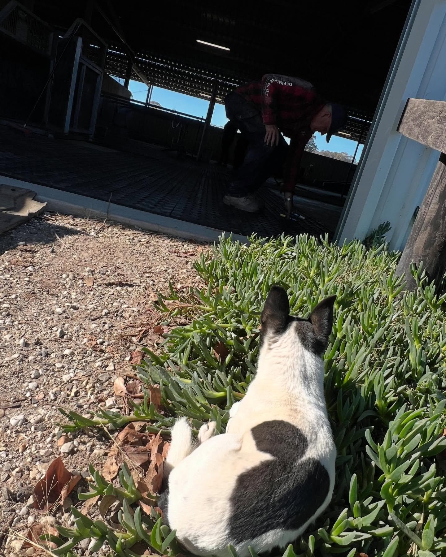 Picture of the author