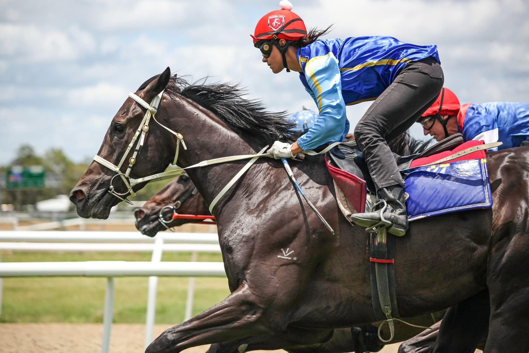 Picture of the author