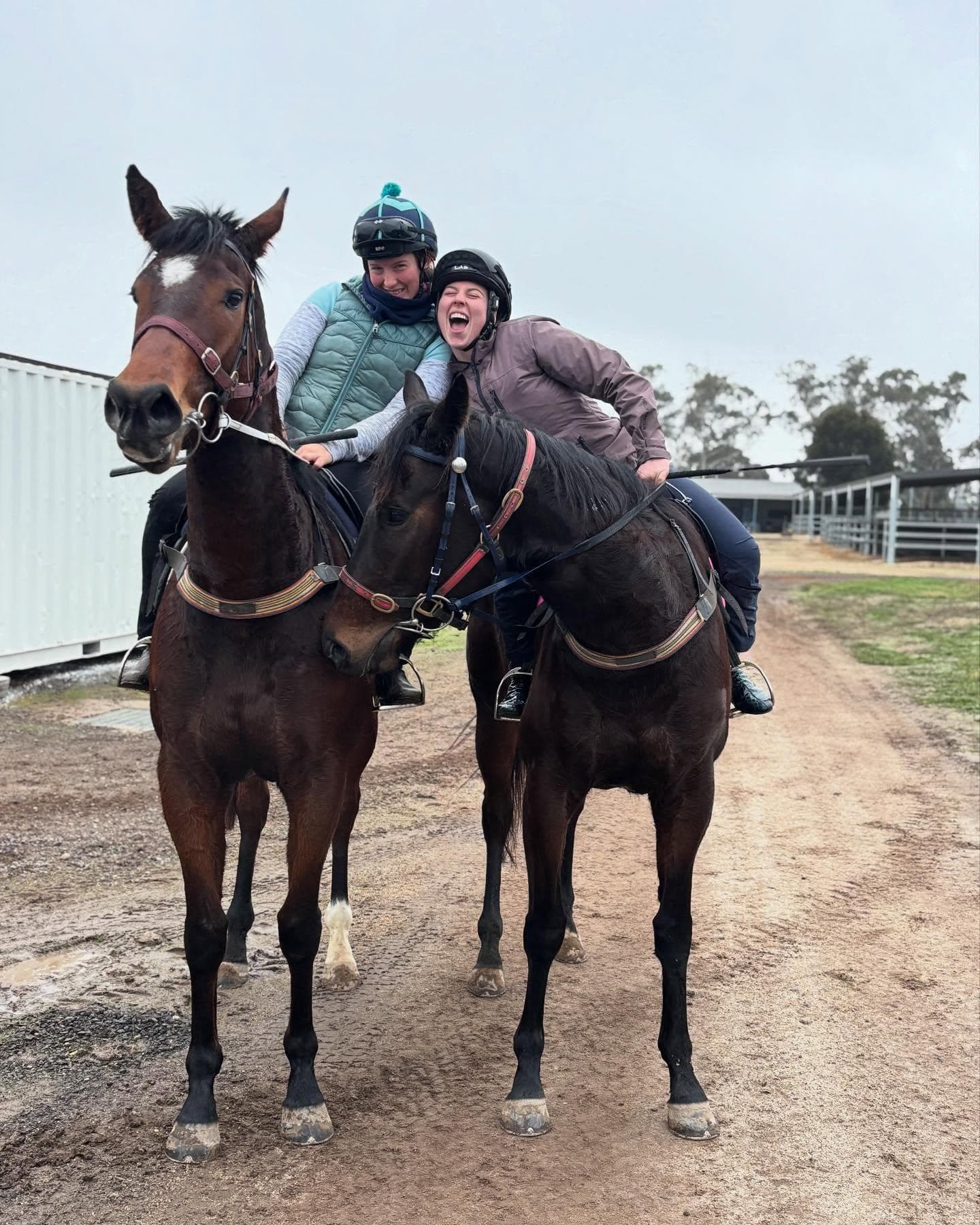 Picture of the author