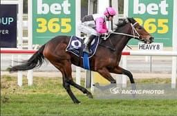 Picture of the author